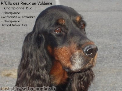 Pedigree R'ELLE DES RIEUX EN VALDAINE Pedigree R'ELLE DES RIEUX EN VALDAINE